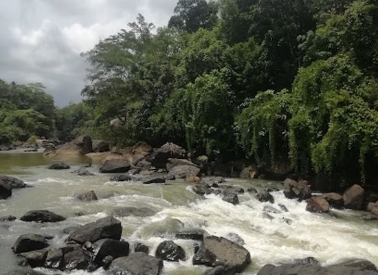 sri-lanka/ratnapura/landmark/rathmala-alle