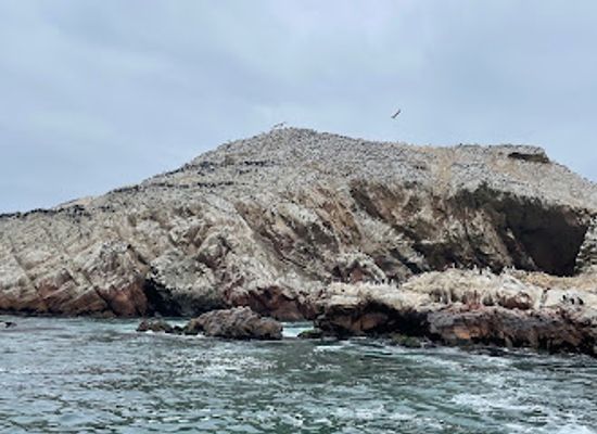 peru/paracas-national-reserve/landmark/el-chaco-paracas