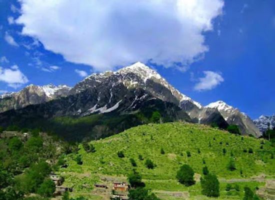 pakistan/pothohar-plateau/landmark/ayub-national-park