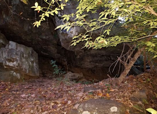 delaware/new-castle-county/landmark/beaver-valley-rock-shelter-site