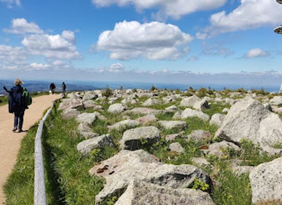 germany/harz-national-park/landmark/brockenhaus