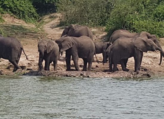 rwanda/kigali-province/landmark/intare-safaris-ltd
