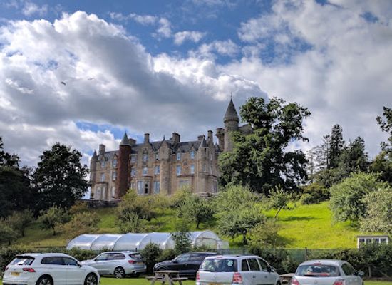united-kingdom/stirling/attraction/blair-drummond-safari-and-adventure-park-2