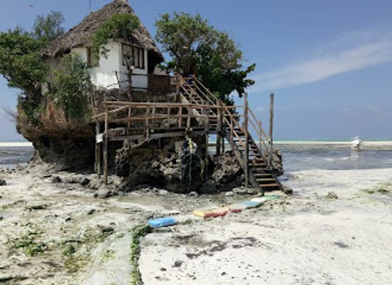 tanzania/zanzibar-island/landmark/jozani-forest