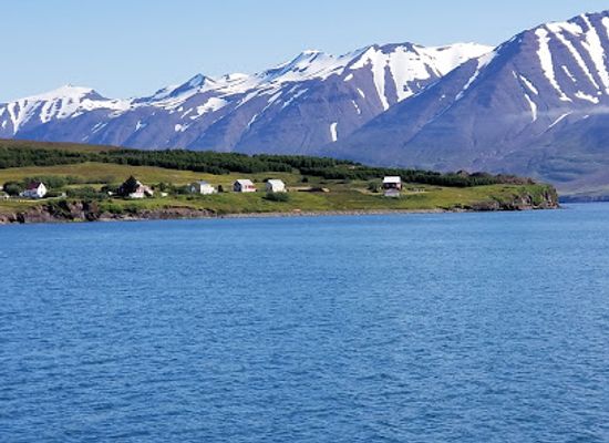 iceland/dalvik/landmark/arcticseatours