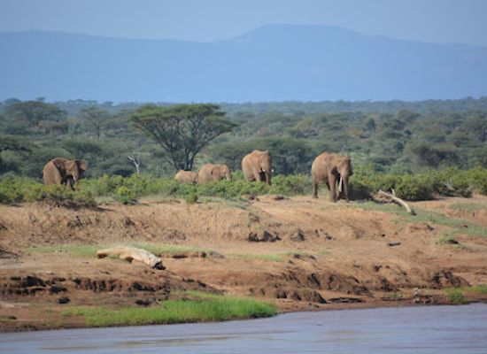 kenya/samburu-national-reserve/landmark/samburu-national-reserve-gate