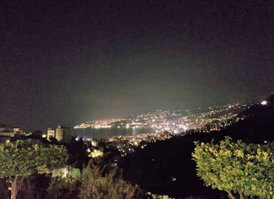 lebanon/metn/landmark/zouk-mikael-public-garden