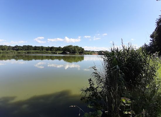 austria/thermenregion/landmark/harter-teich
