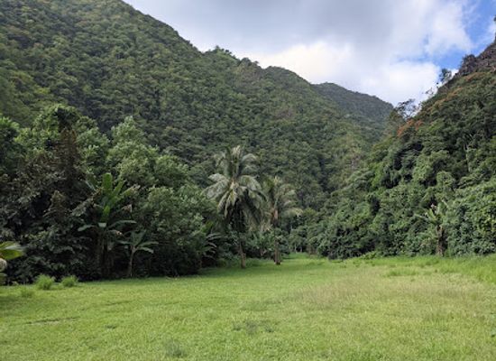 french-polynesia/tahiti/landmark/fautaua-valley