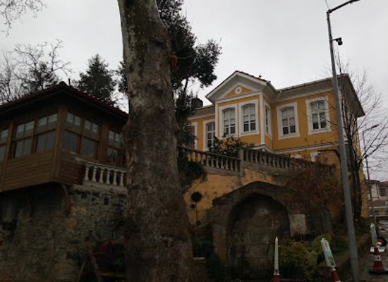 turkiye/trabzon/landmark/tahsin-aksu