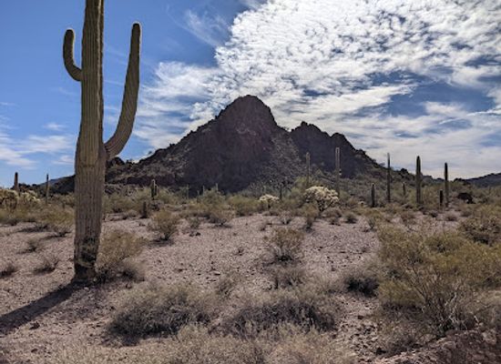arizona/pima-county/landmark/organ-pipe-cactus-national-monument
