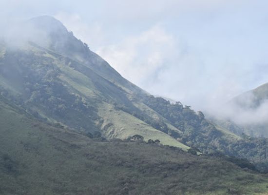 guinea/macenta-region/landmark/totalreservat-berg-nimba