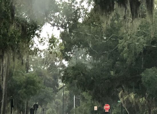 florida/north-florida/landmark/river-road-historic-district