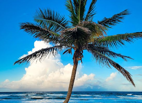 trinidad-and-tobago/mayaro/landmark/mayaro-beach