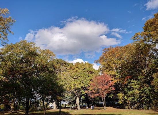 japan/hokkaido/landmark/torinuma-park
