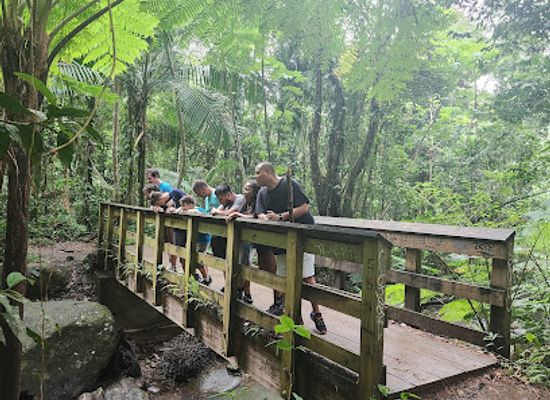 puerto-rico/yunque-national-forest/landmark/kioskos-de-luquillo