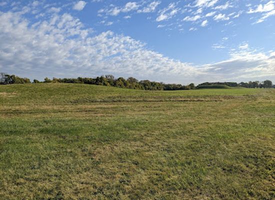 illinois/cahokia-mounds-state-historic-site/landmark/woodhenge