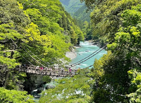 japan/shikoku-island/landmark/vine-bridge-in-the-iya-valley