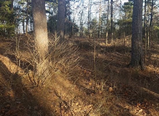 arkansas/russellville/landmark/confederate-mother-s-memorial-park