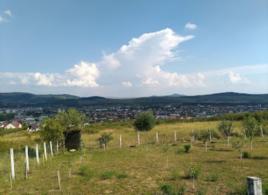 romania/bistrita-nasaud/landmark/schullerwald