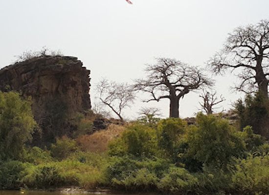 niger/kawar/landmark/w-national-park-benin