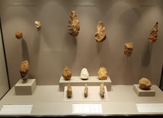 lebanon/north-lebanon/landmark/musee-de-la-prehistoire-libanaise