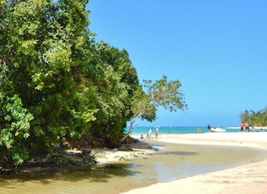 dominican-republic/samana/landmark/playa-las-ballenas