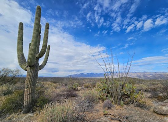 arizona/pima-county/landmark/saguaro-national-park-sign