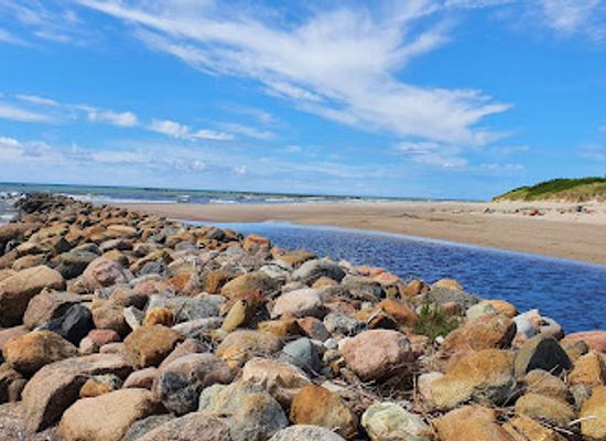 lithuania/nida-beach/landmark/nida-pebble-beach