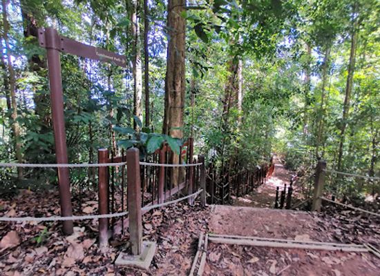 singapore/bukit-batok/landmark/catchment-path