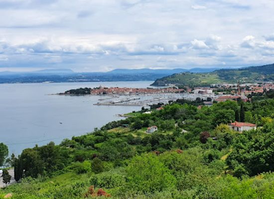 slovenia/izola/landmark/porting-gradbenistvo-trgovina-in-turizem-d-o-o