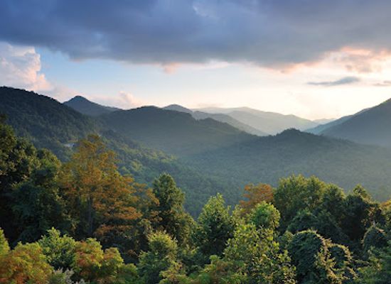 north-carolina/great-smoky-mountains/landmark/joyce-kilmer-memorial-forest-cheoah-ranger-district-nantahala-national-forest