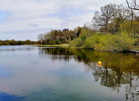 united-kingdom/the-broads/attraction/fairhaven-woodland-water-garden-2