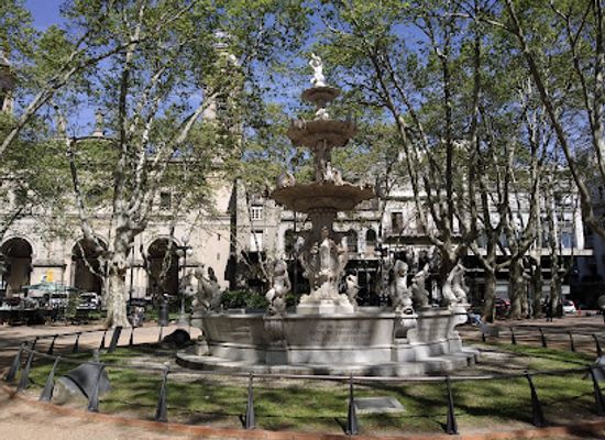 uruguay/montevideo/landmark/constitution-plaza