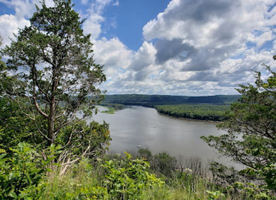 iowa/driftless-area/landmark/yellow-river-state-forest