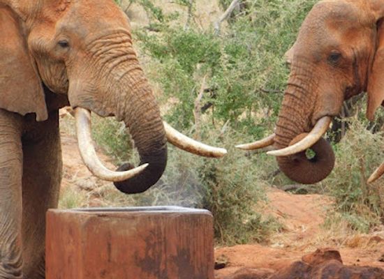 kenya/amboseli-national-park/landmark/amboseli-game-reserve