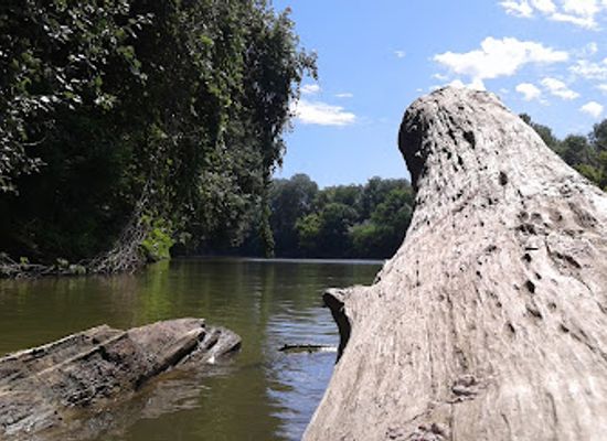 hungary/koros-maros-national-park/landmark/koros-maros-national-park