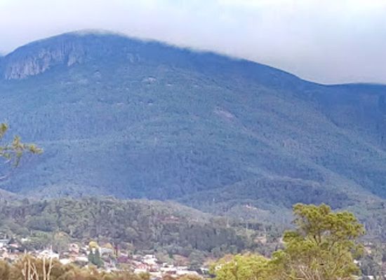 australia/mount-wellington/landmark/royal-tasmanian-botanical-gardens