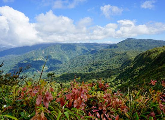 costa-rica/central-pacific/landmark/monteverde-cloud-forest-biological-preserve