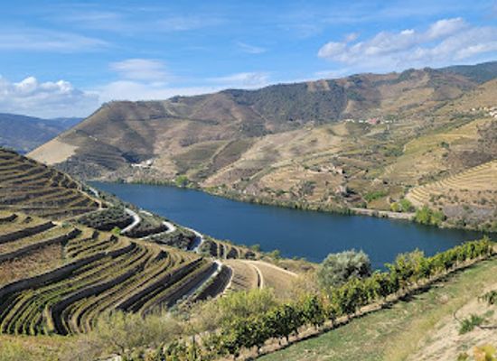 portugal/douro/landmark/douro-promenade-douro-valley-wine-tours