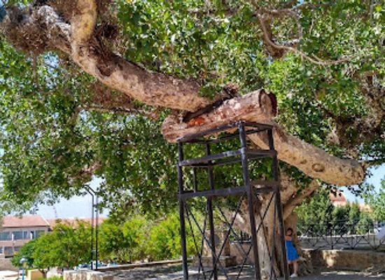 cyprus/ayia-napa/landmark/thalassa