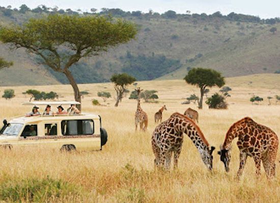 uganda/central-region/landmark/clafricantours