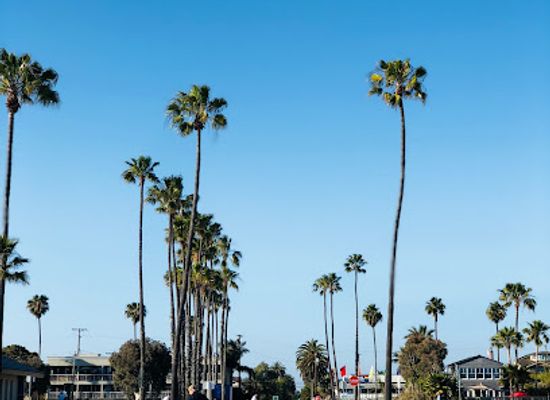 california/long-beach/landmark/rosie-s-dog-beach