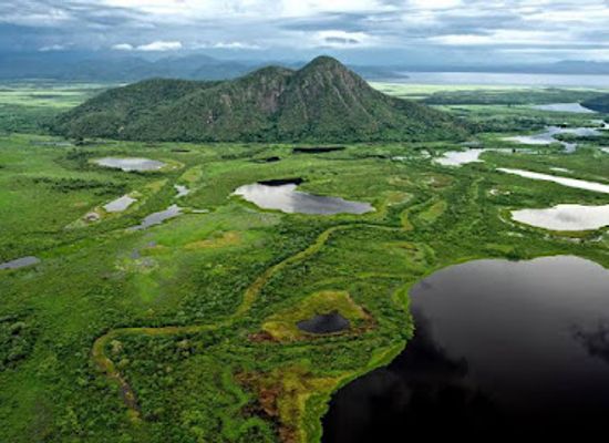 brazil/pantanal/landmark/pantanal-matogrossense-national-park