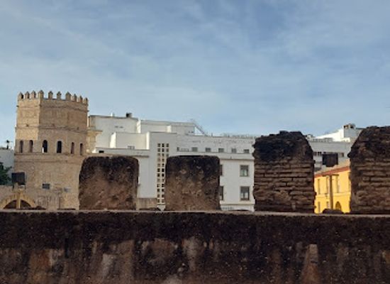 spain/seville/el-arenal/landmark/torre-de-la-plata