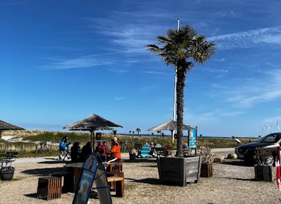 denmark/frederikshavn/attraction/palm-beach-frederikshavn