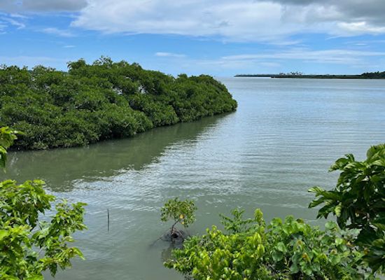 tonga/ha-ano/landmark/captain-cook-landing-site