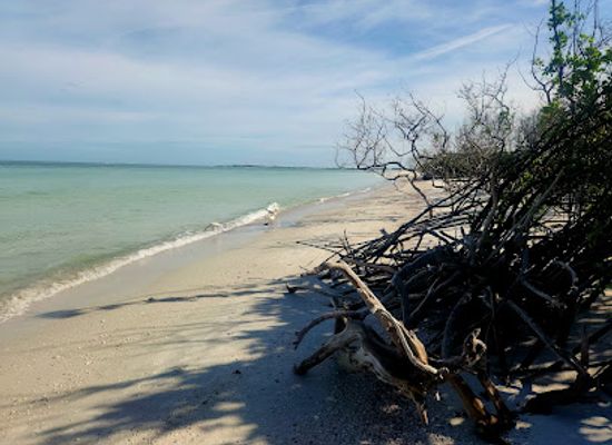 florida/honeymoon-island-state-park/landmark/caladesi-island-state-park