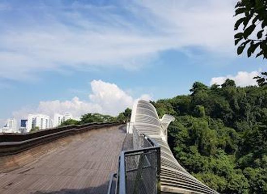singapore/central-region/landmark/henderson-waves