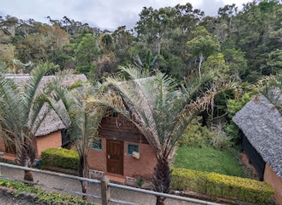 madagascar/amoron-i-mania/landmark/reserve-speciale-d-analamazoatra